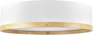 24″ Guestroom Ceiling Light with Maple Trim