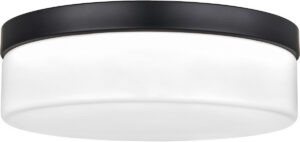 11″ Black Drum Flush Mount