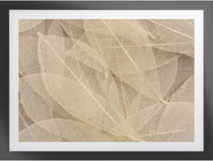 Woodspring B 24″W Artwork with Black Frame