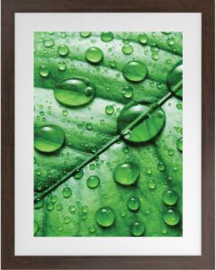 Terra V 16″W Artwork with Ipe Brown Frame