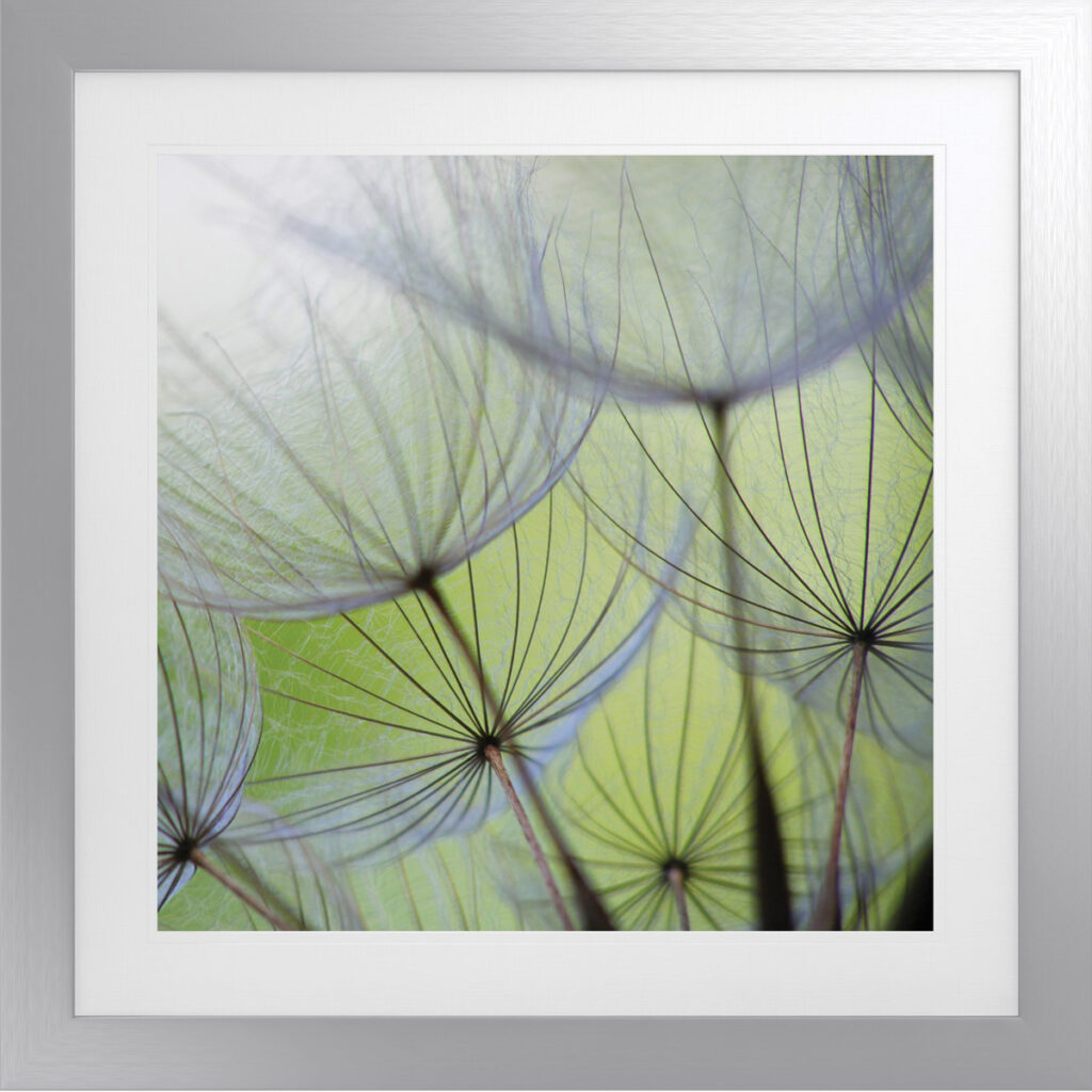 Elegant abstract art with delicate wisps in soft green and purple hues, framed in antique silver.