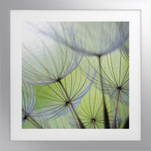 Wisp II 30″ Square Artwork with Antique Silver Frame
