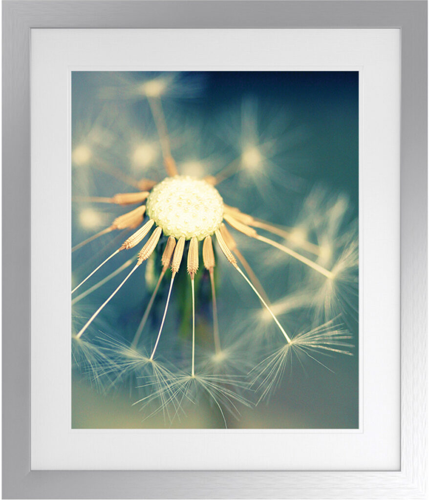 Dandelion art piece with antique silver frame, perfect for modern decor. Elegant floral design for s.