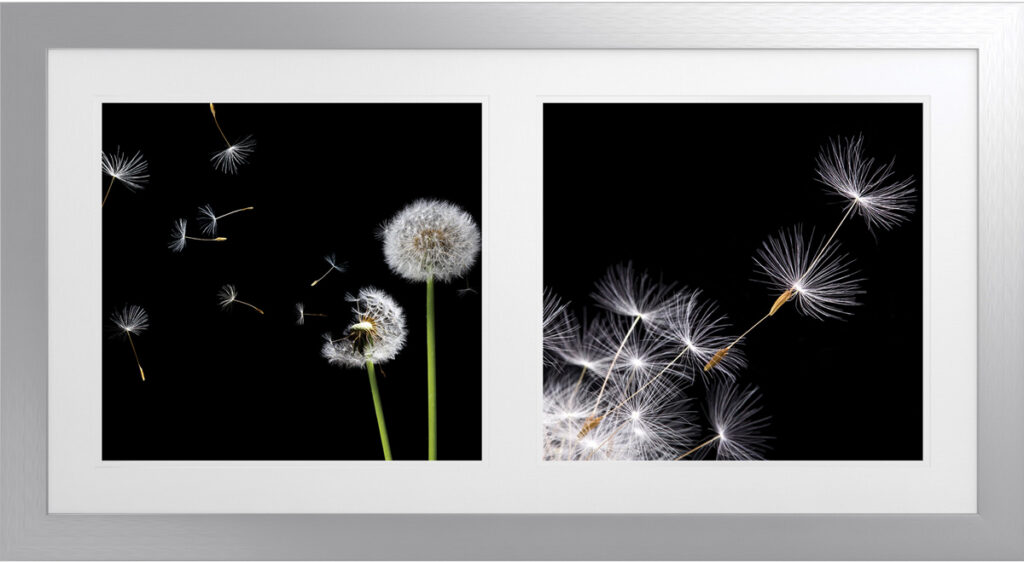 Elegant dandelion art with delicate seed dispersal in a silver frame.