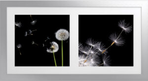 Wisp VI 45″W Artwork with Antique Silver Frame