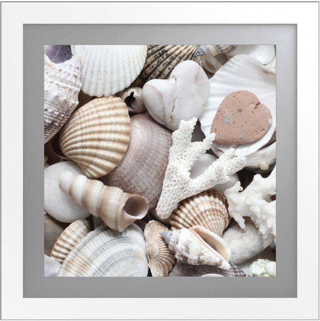 Collection of white and pink seashells with coral for coastal decor.