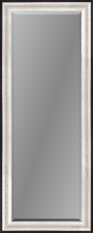 Full Length Beveled Silver/Black Mirror for Elegant Decor.