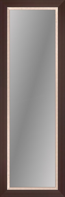 Full length mirror with dark wood frame, non-beveled glass, ideal for modern interiors.